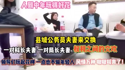 科长夫妻局和长夫妻权利之间的交欢『完整版看简阶』