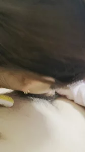 启东市洪流村骚逼